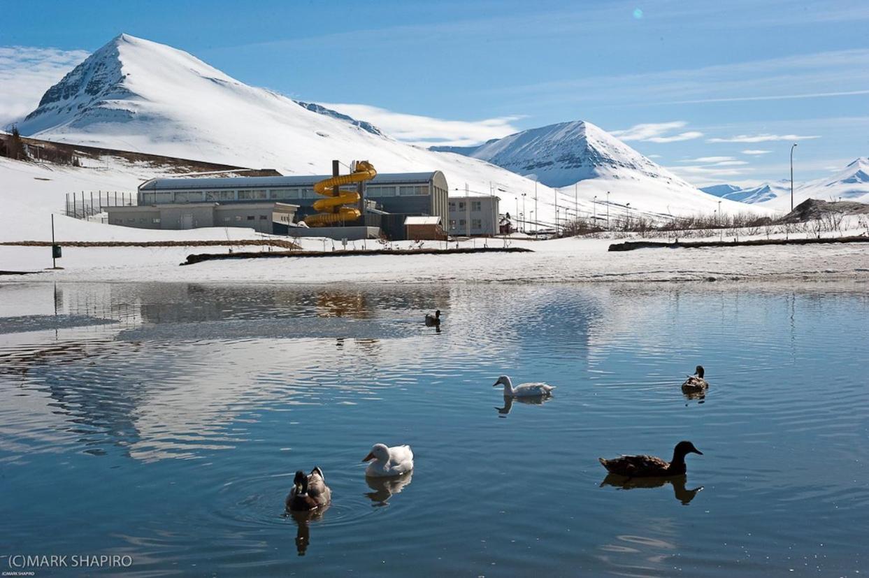 The Northern Comfort Inn Olafsfjordur Exteriér fotografie
